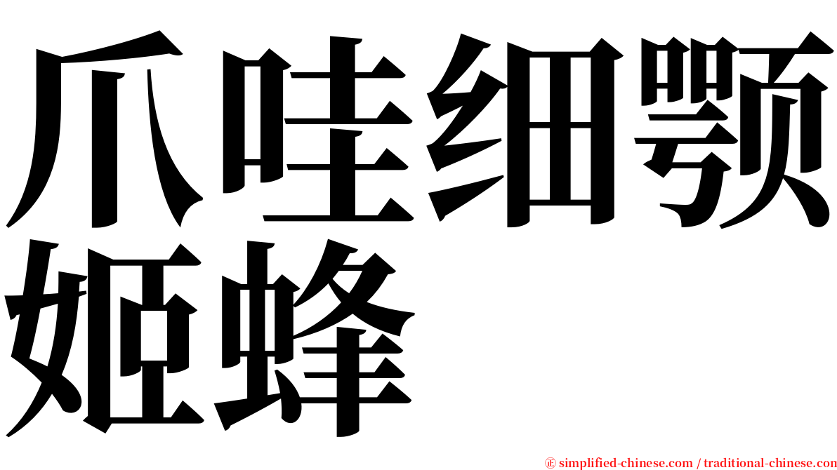 爪哇细颚姬蜂 serif font