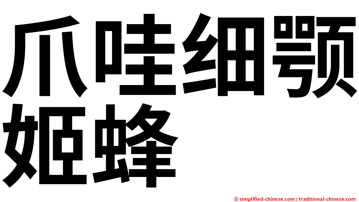 爪哇细颚姬蜂