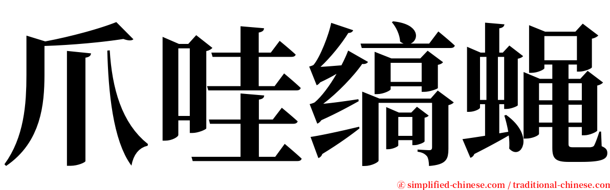 爪哇缟蝇 serif font