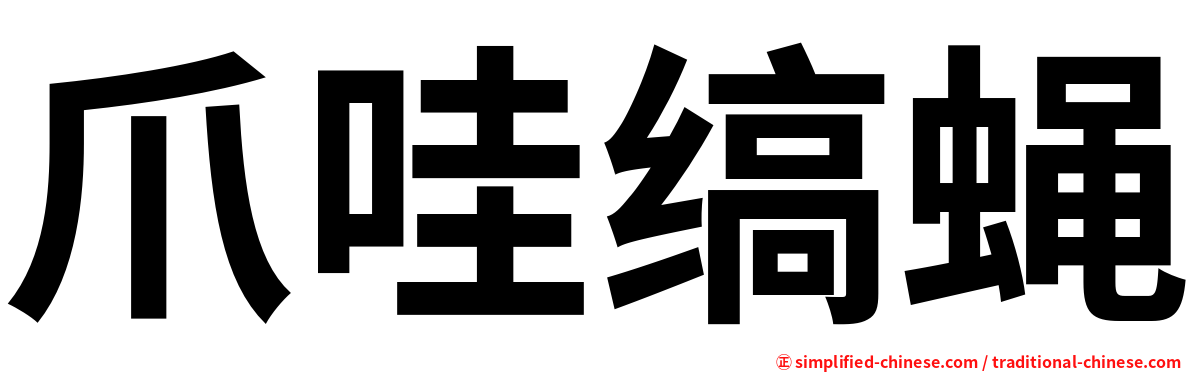 爪哇缟蝇