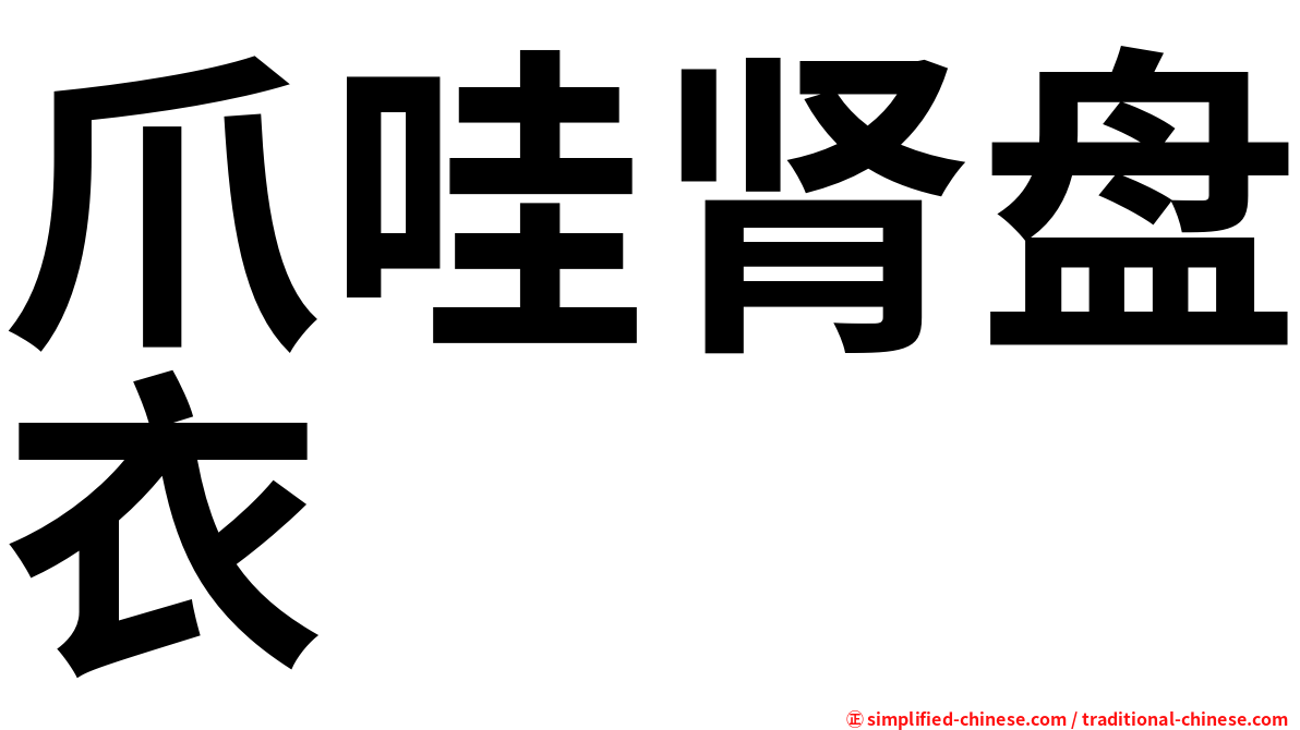 爪哇肾盘衣