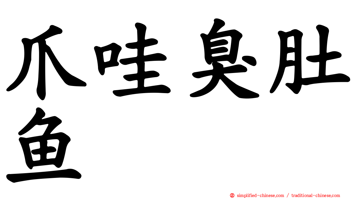 爪哇臭肚鱼