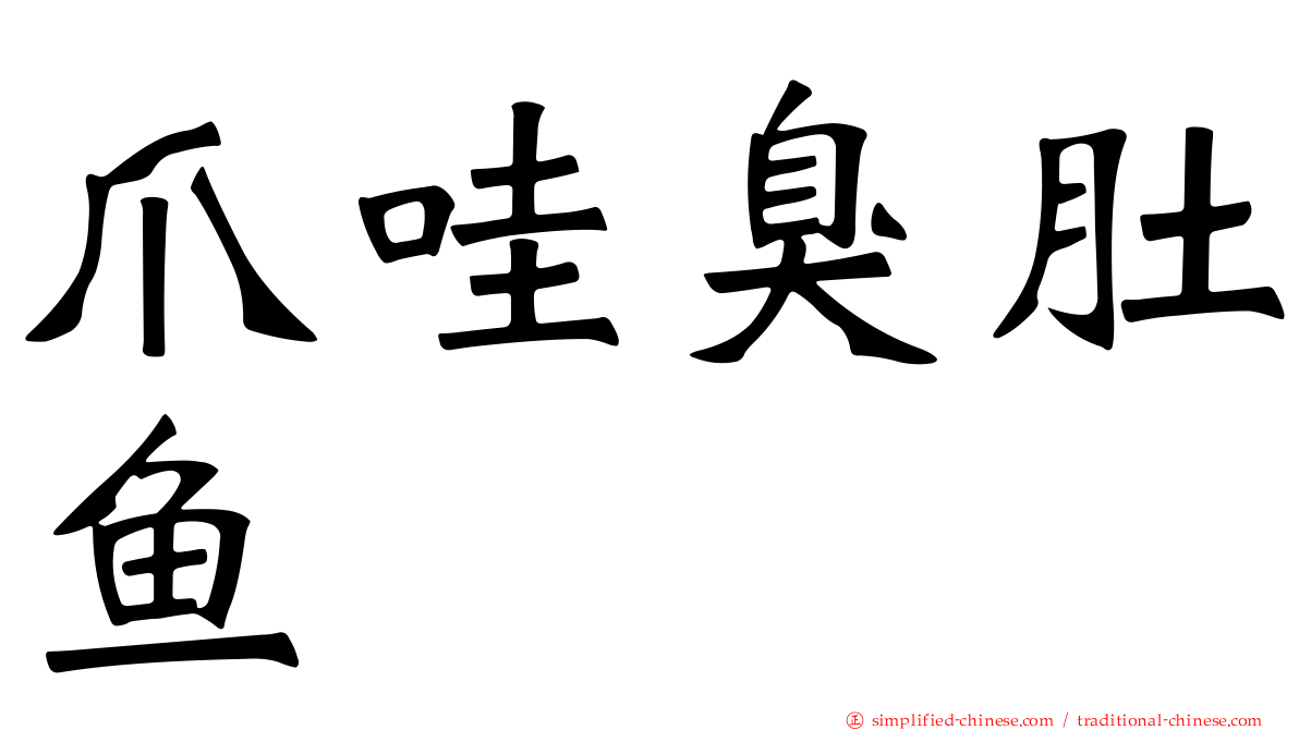 爪哇臭肚鱼