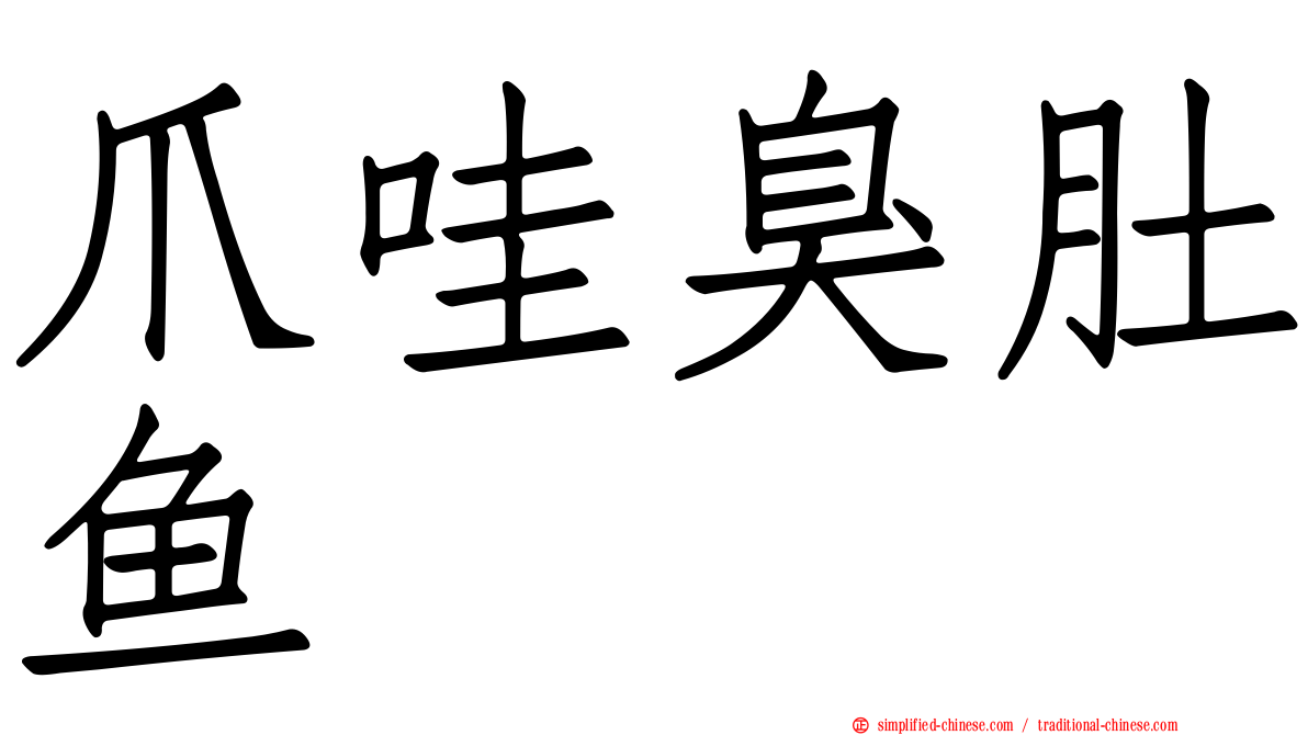 爪哇臭肚鱼