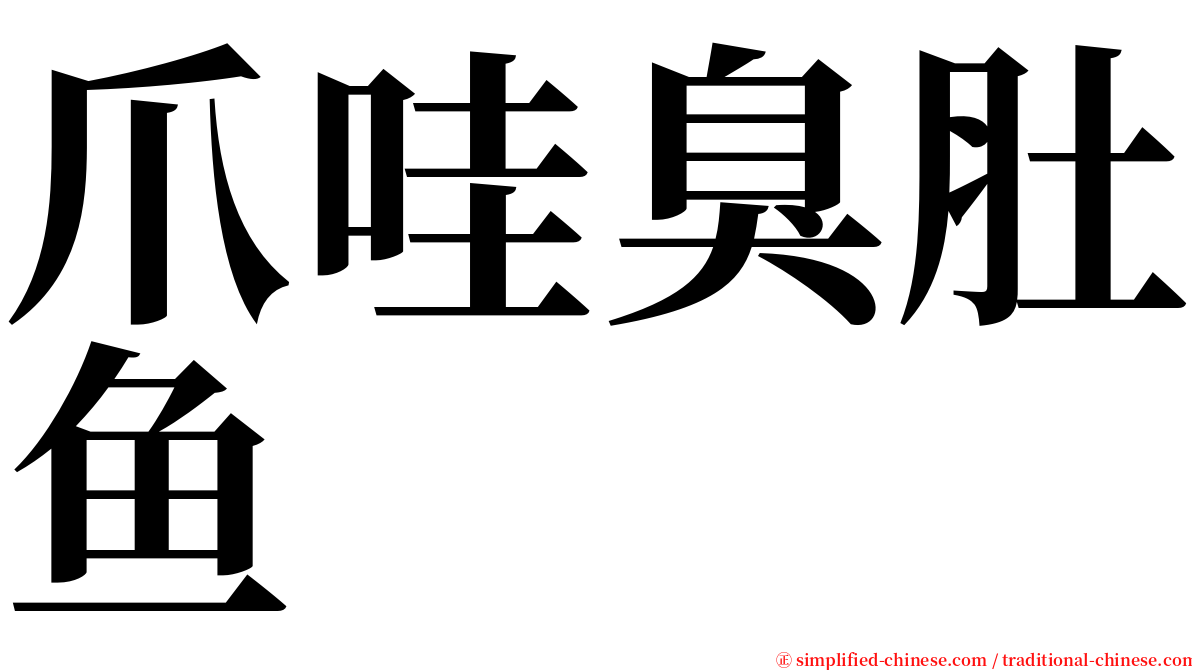 爪哇臭肚鱼 serif font