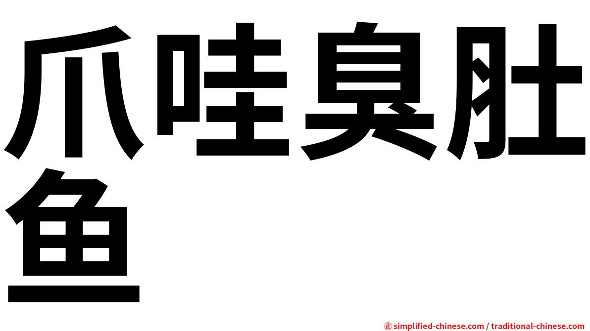 爪哇臭肚鱼