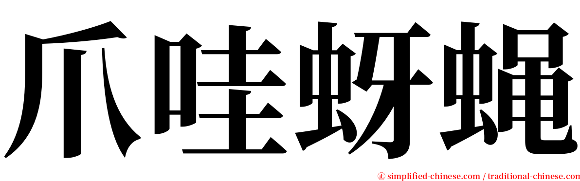 爪哇蚜蝇 serif font