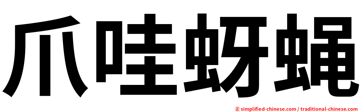 爪哇蚜蝇