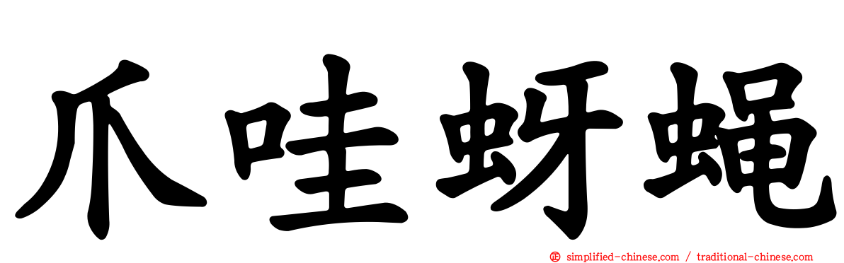 爪哇蚜蝇