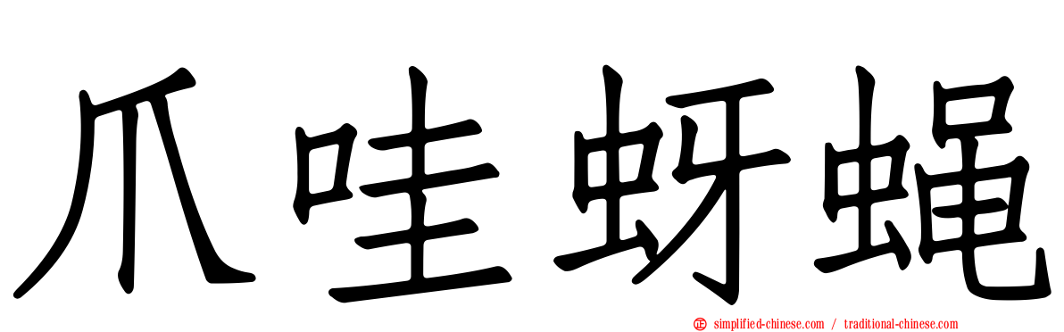 爪哇蚜蝇
