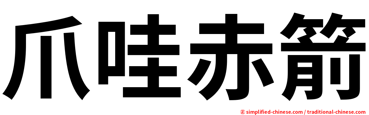 爪哇赤箭