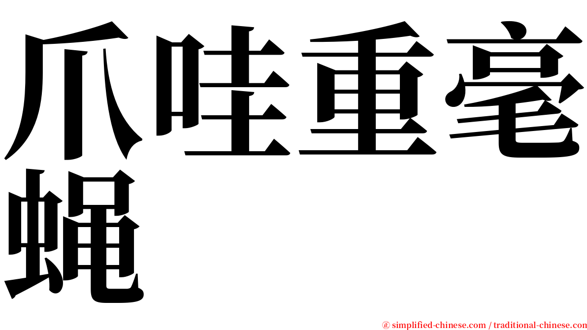 爪哇重毫蝇 serif font