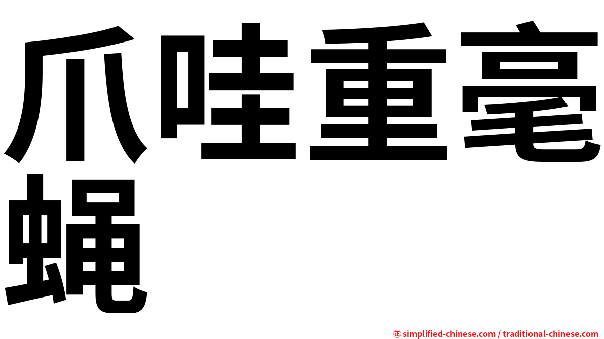 爪哇重毫蝇