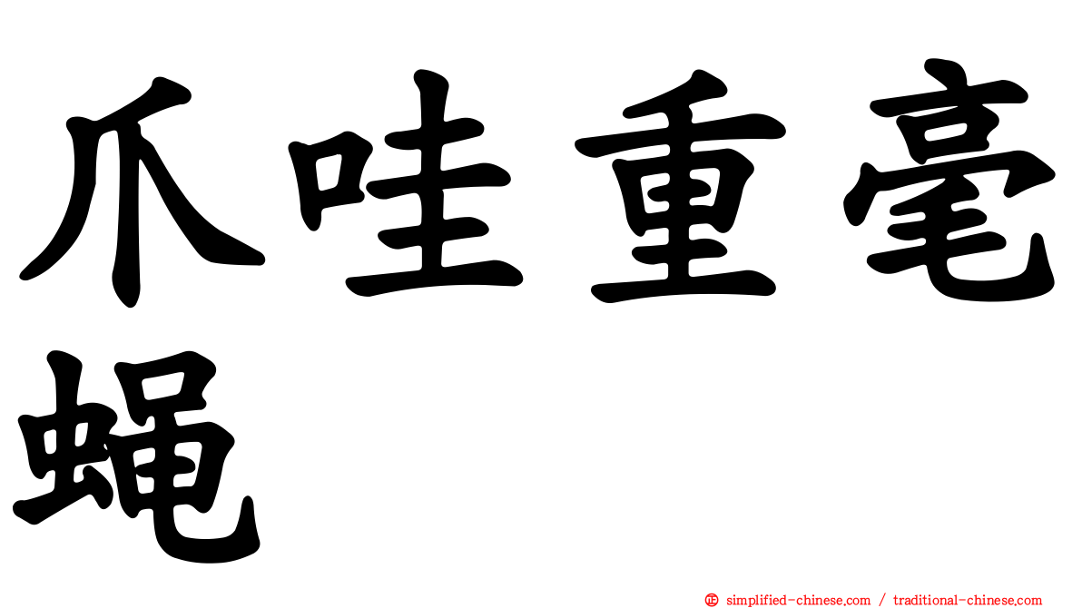 爪哇重毫蝇
