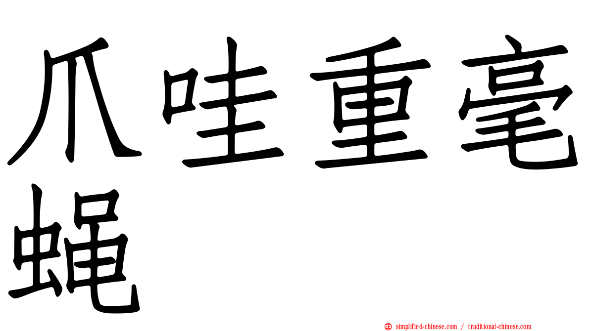 爪哇重毫蝇