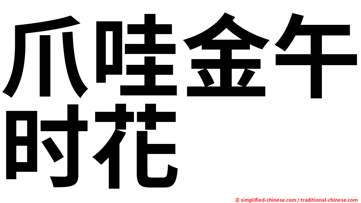 爪哇金午时花