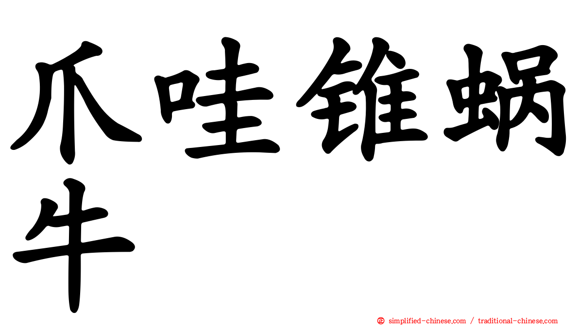 爪哇锥蜗牛