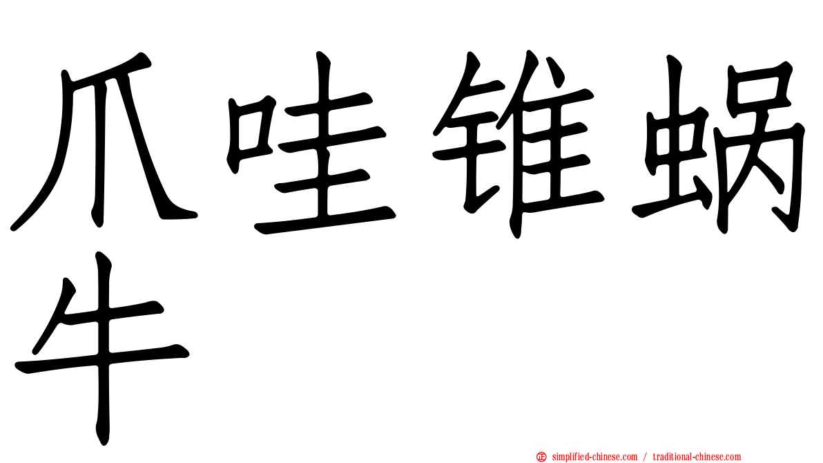 爪哇锥蜗牛