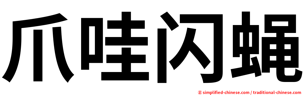 爪哇闪蝇