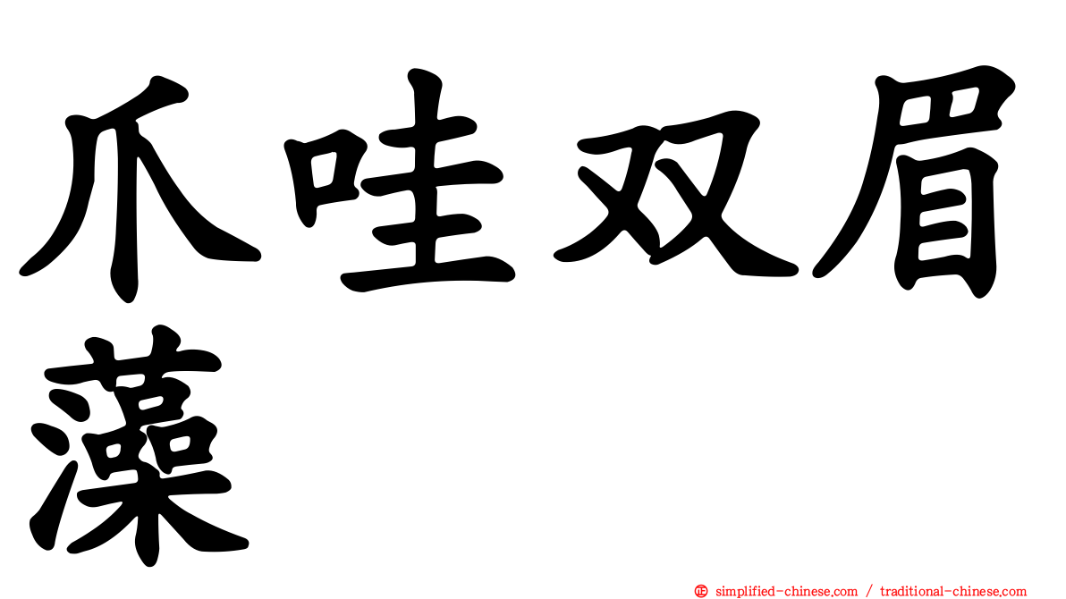 爪哇双眉藻