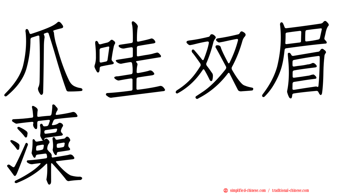 爪哇双眉藻