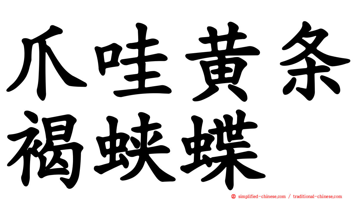 爪哇黄条褐蛱蝶