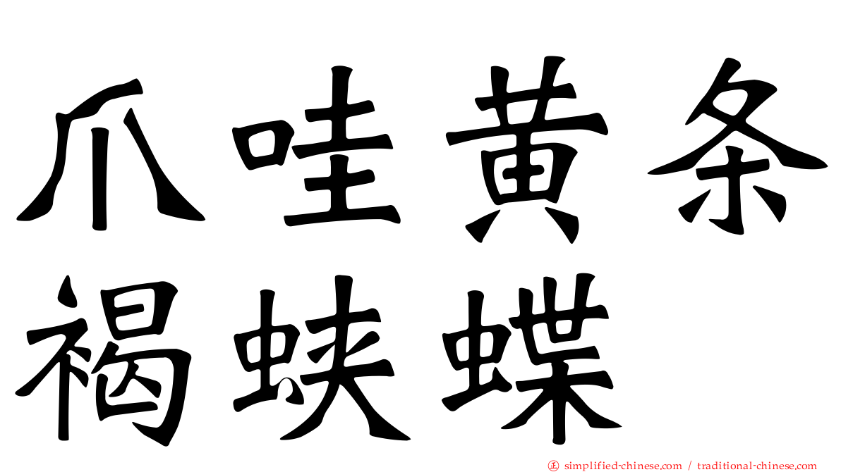 爪哇黄条褐蛱蝶