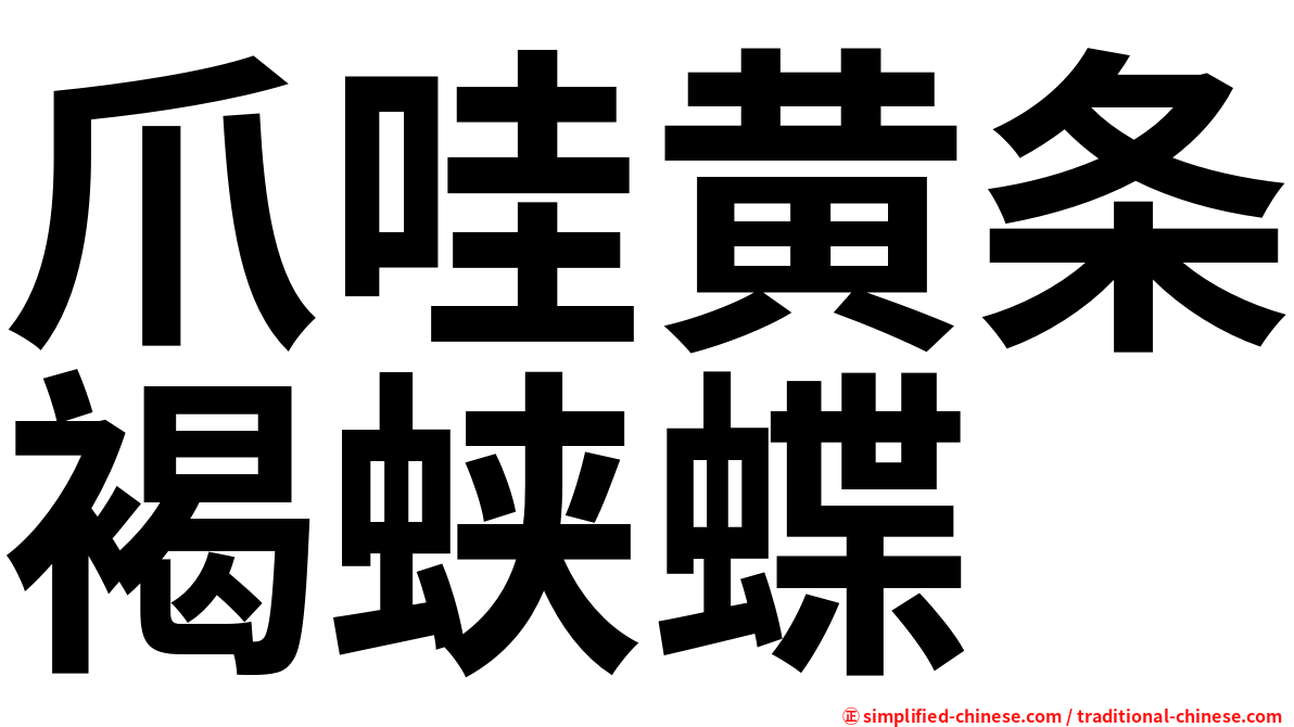 爪哇黄条褐蛱蝶