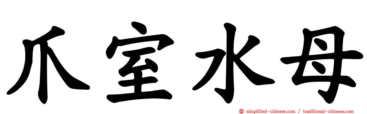 爪室水母
