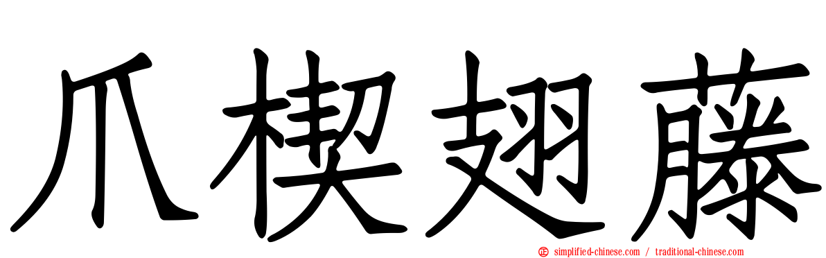 爪楔翅藤