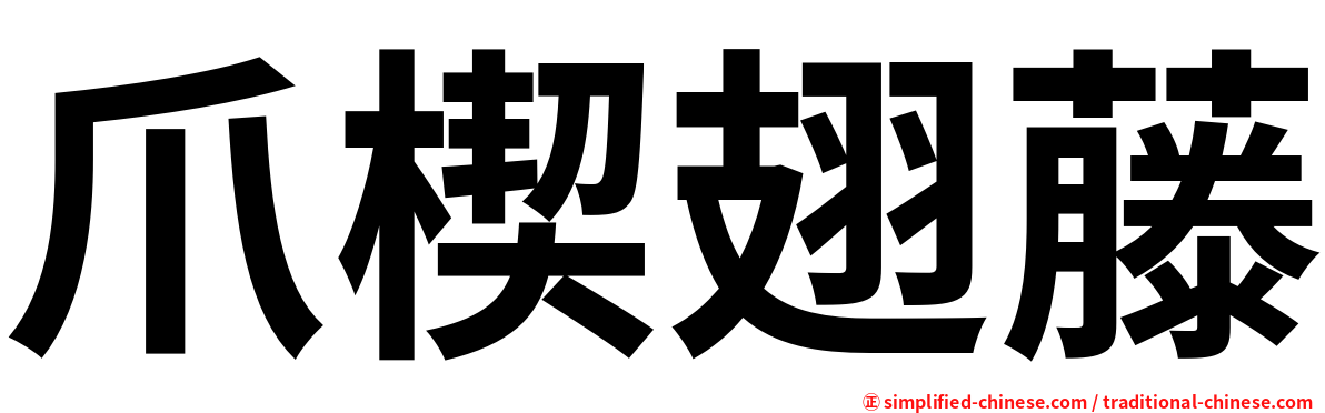 爪楔翅藤