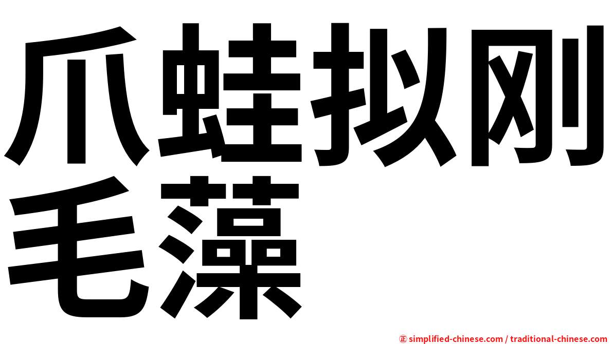 爪蛙拟刚毛藻