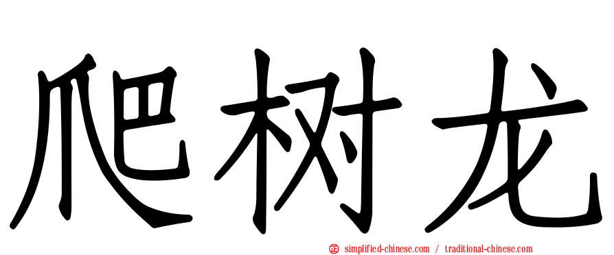 爬树龙