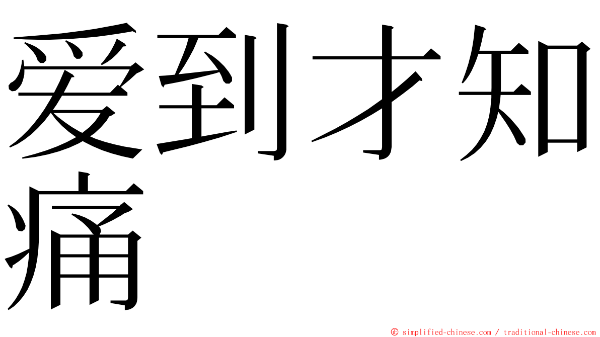 爱到才知痛 ming font
