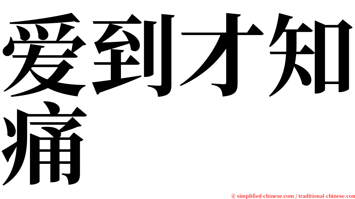 爱到才知痛 serif font