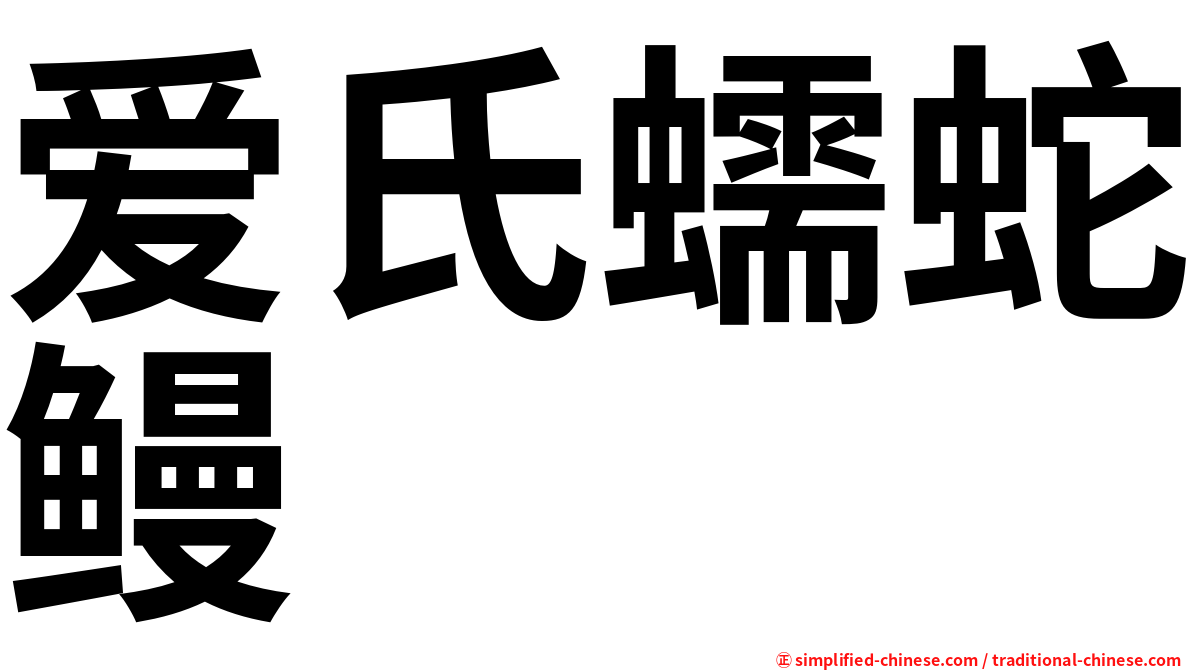 爱氏蠕蛇鳗