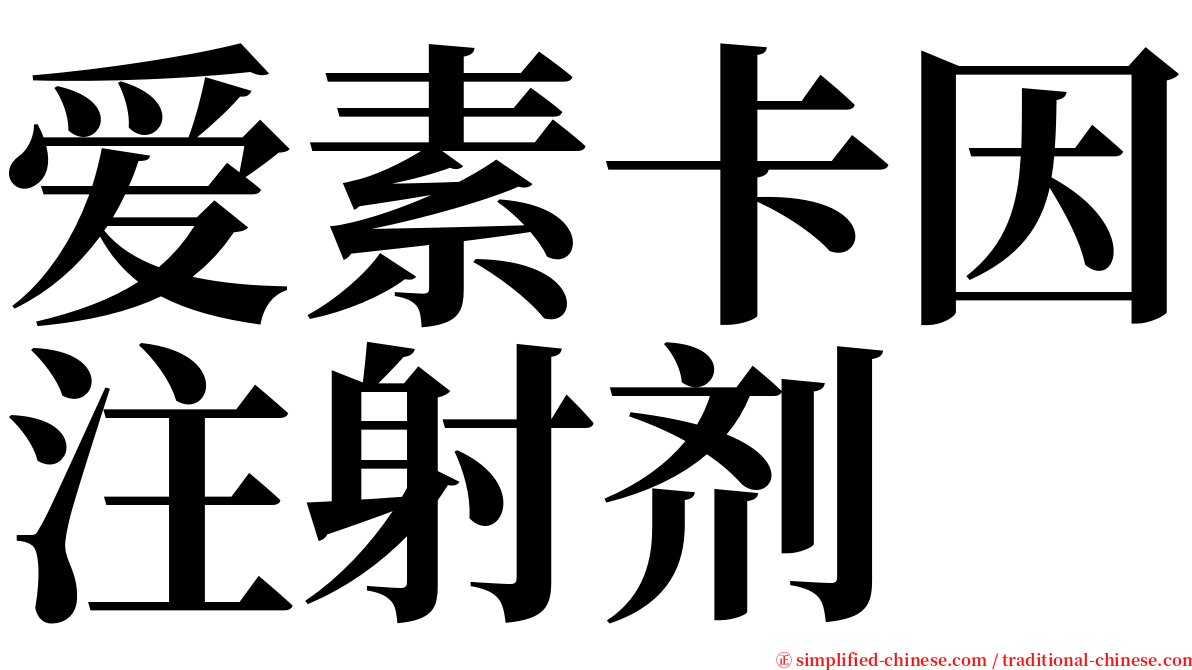 爱素卡因注射剂 serif font