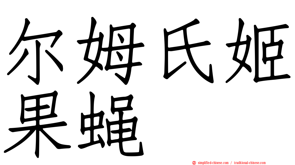尔姆氏姬果蝇