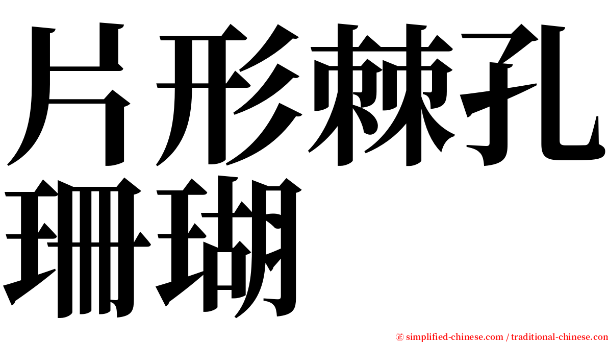 片形棘孔珊瑚 serif font