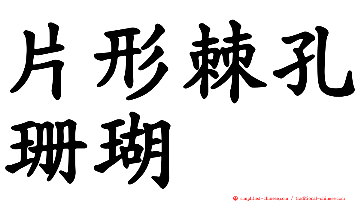 片形棘孔珊瑚