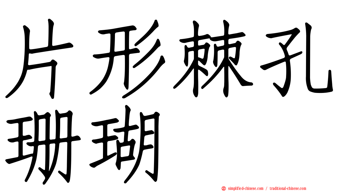 片形棘孔珊瑚