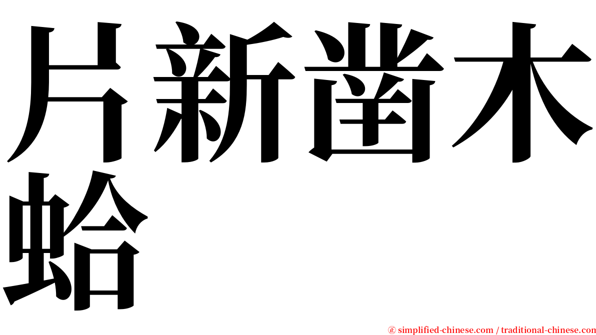 片新凿木蛤 serif font