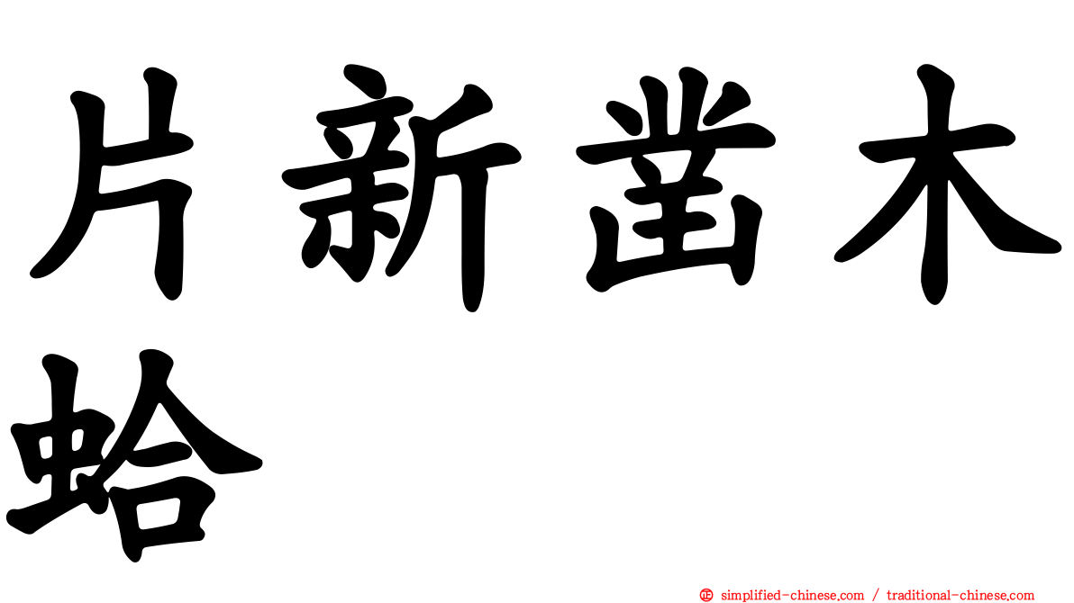 片新凿木蛤
