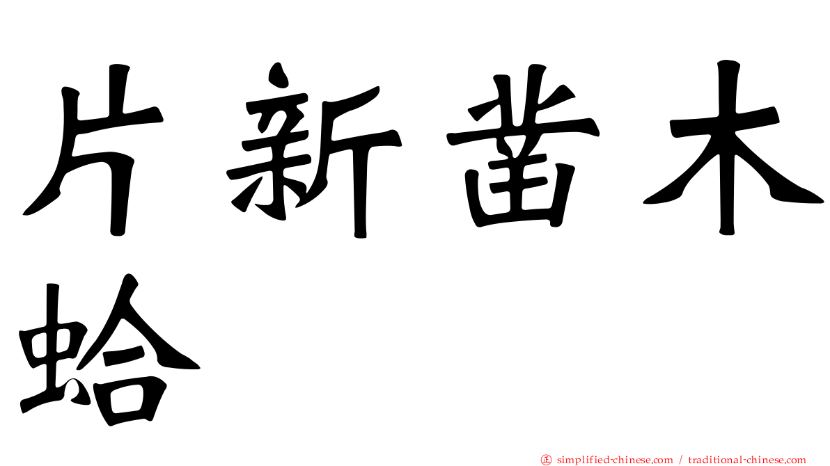 片新凿木蛤