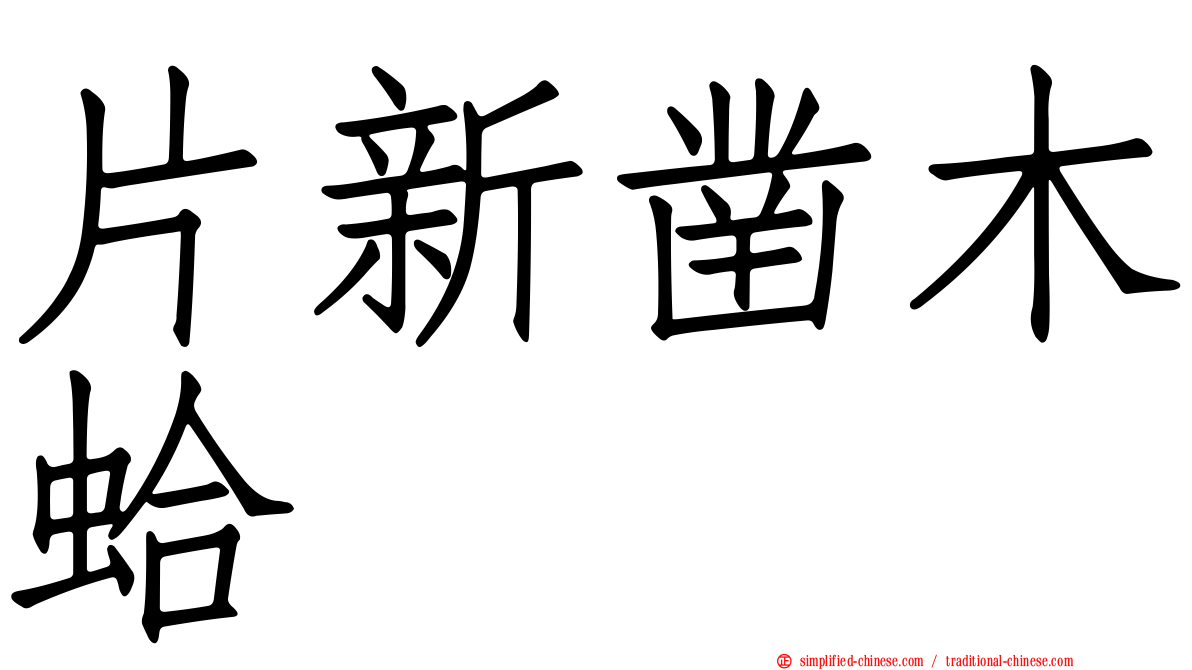 片新凿木蛤