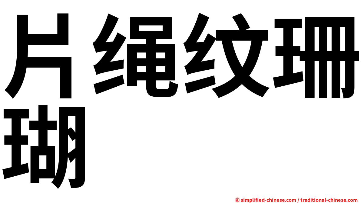 片绳纹珊瑚