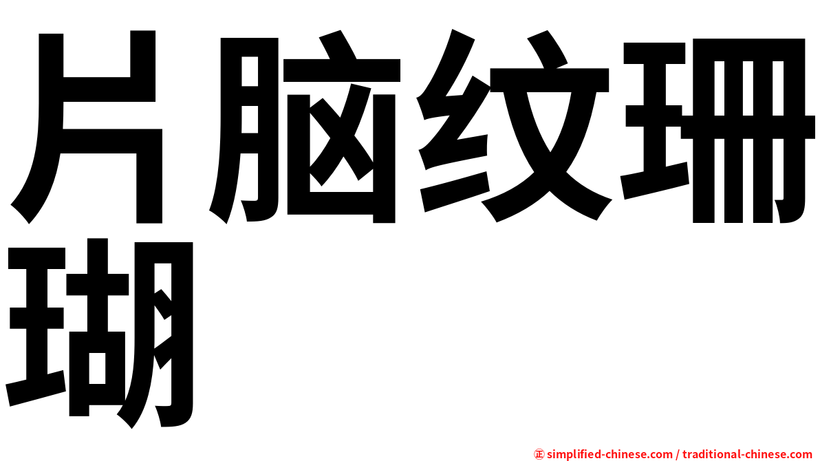 片脑纹珊瑚