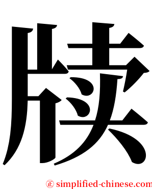 牍 serif font