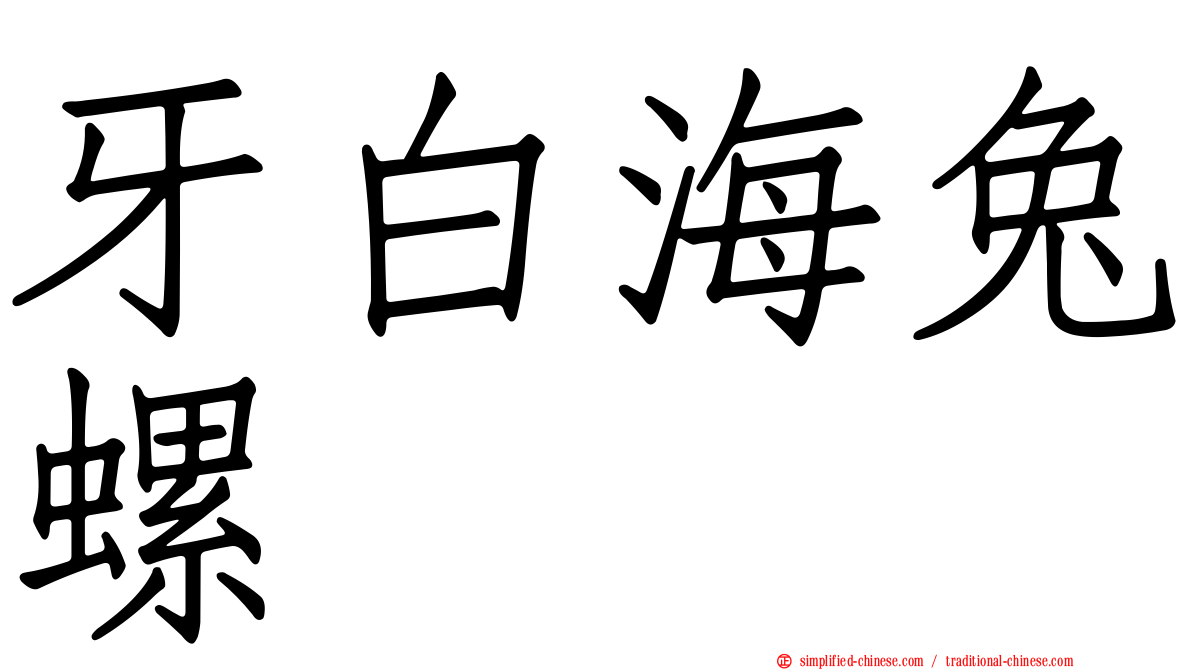 牙白海兔螺