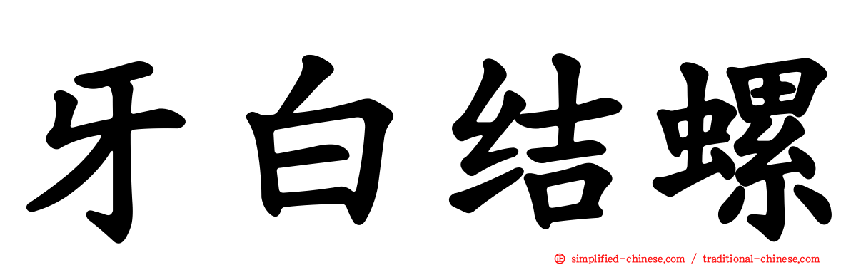 牙白结螺